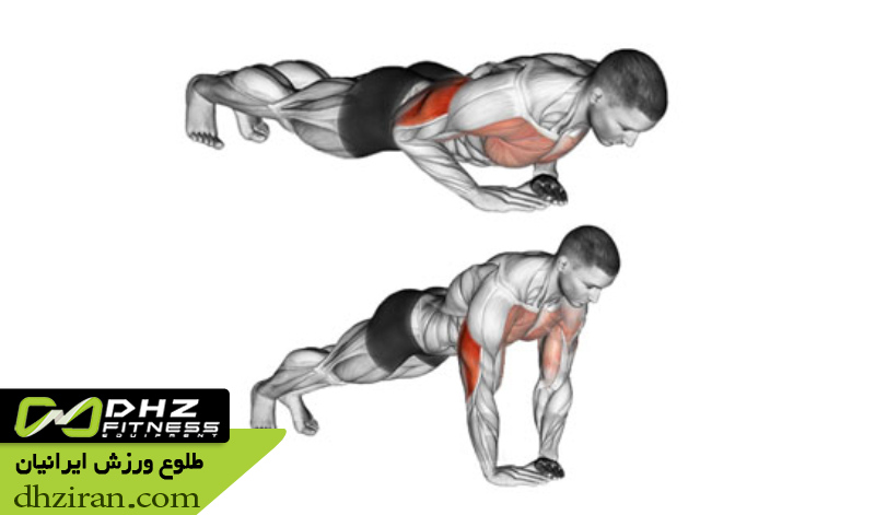 شنا دست جمع یا الماسی: 